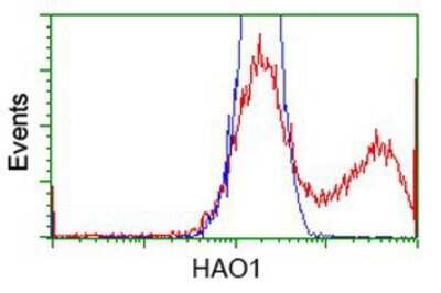 Flow Cytometry: Hydroxyacid Oxidase-1/HAO-1 Antibody (OTI5C3) [NBP2-03361]