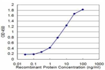 ELISA: HARS Antibody (4D4) [H00003035-M03]