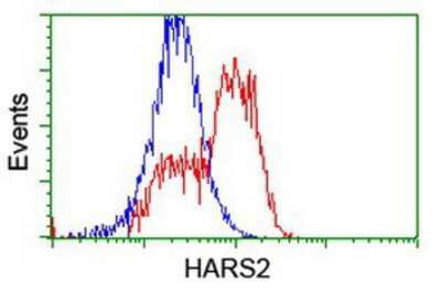 Flow Cytometry: HARS2 Antibody (OTI5H2) [NBP2-01425]