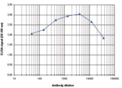 ELISA: HDAC1 Antibody [NBP2-54621]