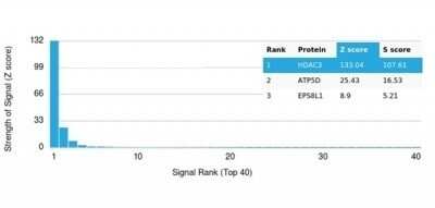 Protein Array: HDAC3 Antibody (PCRP-HDAC3-2D4) - Azide and BSA Free [NBP3-14060]