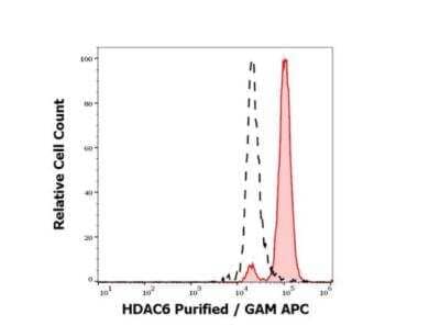 Flow Cytometry: HDAC6 Antibody (159) - BSA Free [NBP3-09113]