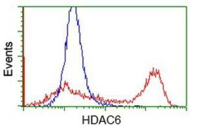 Flow Cytometry: HDAC6 Antibody (OTI1B3) - Azide and BSA Free [NBP2-71531]