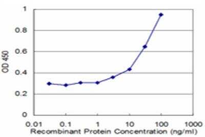ELISA: HDGF Antibody (2D6) [H00003068-M09]