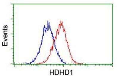 Flow Cytometry: HDHD1A Antibody (OTI7A2) [NBP2-00487]