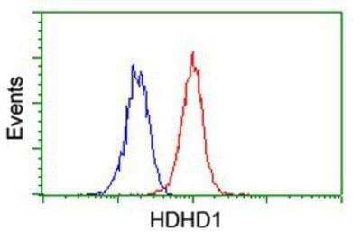Flow Cytometry: HDHD1A Antibody (OTI7A2) [NBP2-00487]