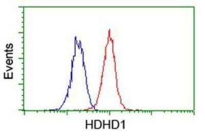 Flow Cytometry: HDHD1A Antibody (OTI7A2) - Azide and BSA Free [NBP2-71368]
