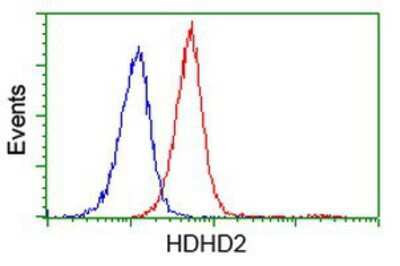 Flow Cytometry: HDHD2 Antibody (OTI4G3) [NBP2-00697]
