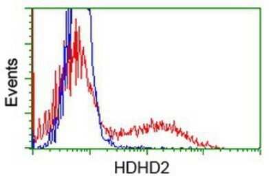 Flow Cytometry: HDHD2 Antibody (OTI4G3) - Azide and BSA Free [NBP2-72259]