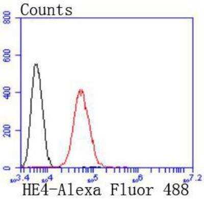 Flow Cytometry: HE4/WFDC2 Antibody (JF62-09) [NBP2-66883]