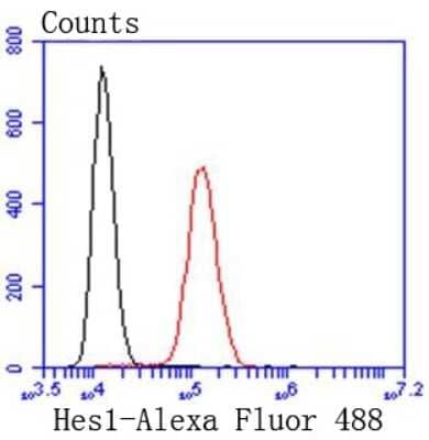 Flow Cytometry: HES-1 Antibody (SC06-21) [NBP2-67642]
