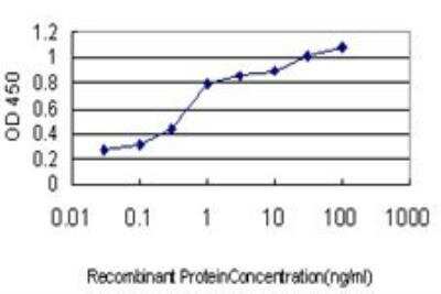 ELISA: HFE Antibody (1G12) [H00003077-M01]