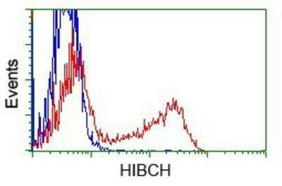 Flow Cytometry: HIBCH Antibody (OTI3H5) [NBP2-02673]