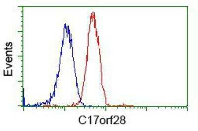 Flow Cytometry: HID1 Antibody (OTI2F4) [NBP2-02667]