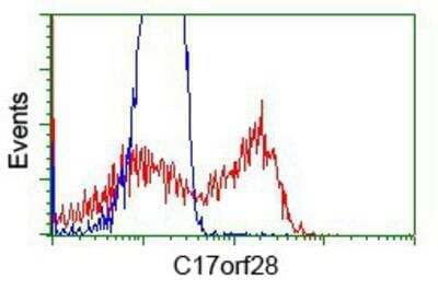 Flow Cytometry: HID1 Antibody (OTI2F4) [NBP2-02667]