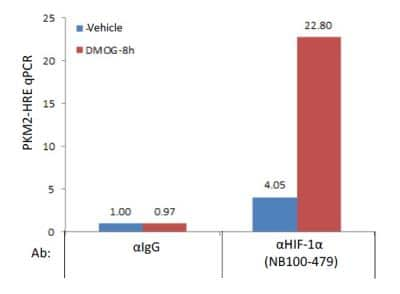 ChIP-qPCR Analysis of HIF-1 alpha in Treated Human MDA-MB-231 Breast Cancer Cells