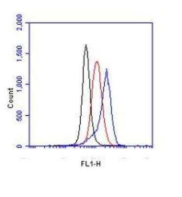 Flow Cytometry: HIF-1 alpha Antibody [NB100-449]