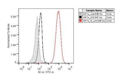 Flow Cytometry of H929 Cells Stained with Alexa Fluor 488 Conjugated HIF-1 alpha Antibody