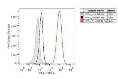 Flow Cytometry of H929 Cells Stained with Alexa Fluor 488 Conjugated HIF-1 alpha Antibody