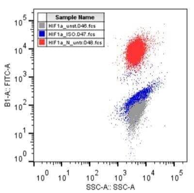 Flow Cytometry: HIF-1 alpha Antibody Pack [NB100-905]