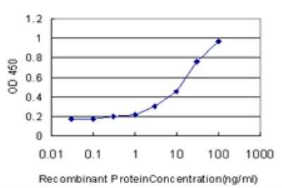 ELISA: HIPK1 Antibody (4E1) [H00204851-M07]