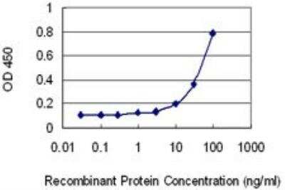 ELISA: HIPK4 Antibody (2E8) [H00147746-M01]