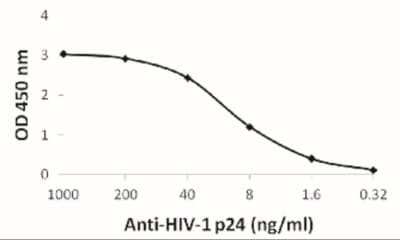 ELISA: HIV-1 Gag p24 Antibody (8G9) - BSA Free [NBP2-41336]