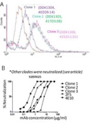 Flow Cytometry: HIV-1 gp41 Antibody (402D9.14/clone 1) [DDX1304]