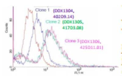 Flow Cytometry: HIV-1 gp41 Antibody (417D3.08/ clone 2) [DDX1305]