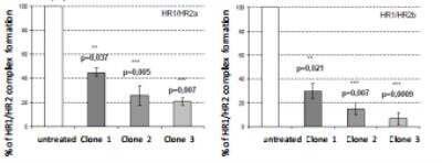 Inhibition Activity: HIV-1 gp41 Antibody (417D3.08/ clone 2) [DDX1305]
