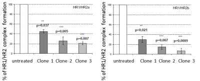 Inhibition Activity: HIV-1 gp41 Antibody (425D11.01/ clone 3) [DDX1306]