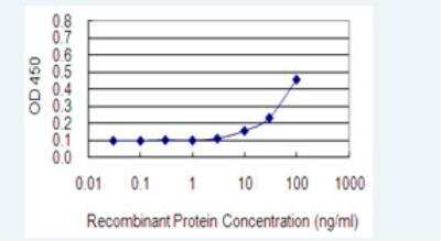 ELISA: HLA A Antibody (2D6) [H00003105-M01-100ug]