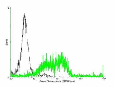 Flow Cytometry: HLA A Antibody [H00003105-B01P]