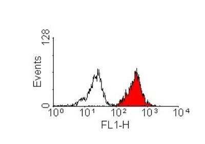Flow Cytometry: HLA A2 Antibody (BB7.2) - Azide and BSA Free [NBP1-44896]