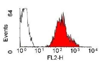 Flow Cytometry: HLA A2 Antibody (BB7.2) - Azide and BSA Free [NBP1-44896]