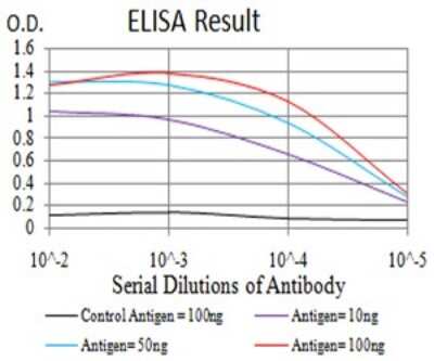 ELISA: HLA B Antibody (2G7B10) - BSA Free [NBP2-61871]