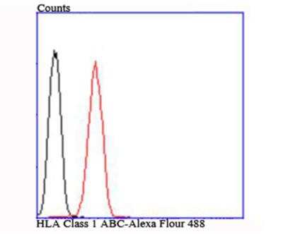 Flow Cytometry: HLA Class I Antibody [NBP2-75928]
