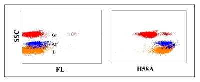 Flow Cytometry: HLA Class I Antibody (H58A) [NBP2-60980]