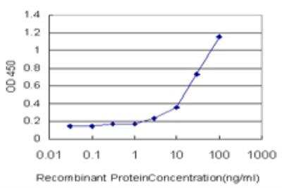 ELISA: HLA DMA Antibody (3F12-F11) [H00003108-M01]