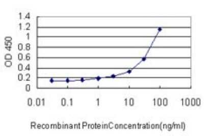 ELISA: HLA DMA Antibody (3F12-F11) [H00003108-M01]