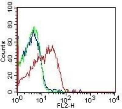 Flow (Cell Surface): HLA DMA Antibody (5C9NB) - Azide Free [NBP2-44301]