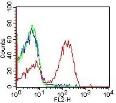 Flow (Cell Surface): HLA DMA Antibody (6B12NB) - BSA Free [NBP2-44302]
