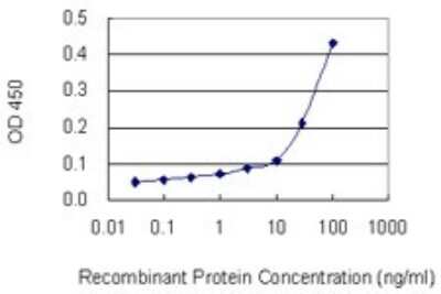 ELISA: HLA DPB1 Antibody (6C6) [H00003115-M01]