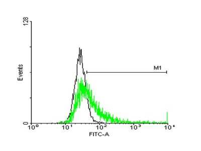 Flow Cytometry: HLA DQB1 Antibody [H00003119-B01P]