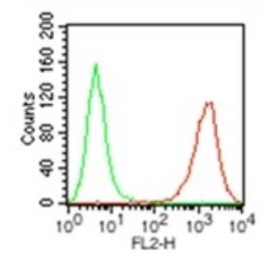 Flow (Cell Surface): HLA-DR Antibody (L243) - BSA Free [NB100-77855]