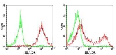 Flow Cytometry: HLA-DR Antibody (L243) - BSA Free [NB100-77855]