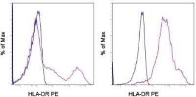 Western Blot: HLA-DR Antibody (LN-3)Azide and BSA Free [NBP2-47670]