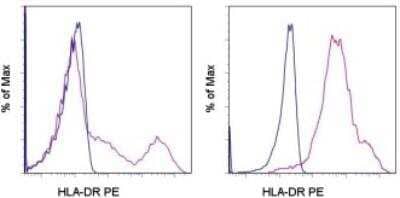 Western Blot: HLA-DR Antibody (LN-3) [NBP2-45310]