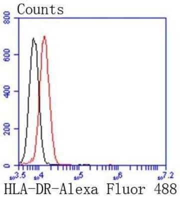 Flow Cytometry: HLA DR/DP Antibody (SC06-78) [NBP2-67610]