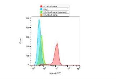 Flow Cytometry: HLA G Antibody (MEM-G/9) - BSA Free [NB500-314]